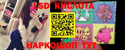 молекула духа Пугачёв