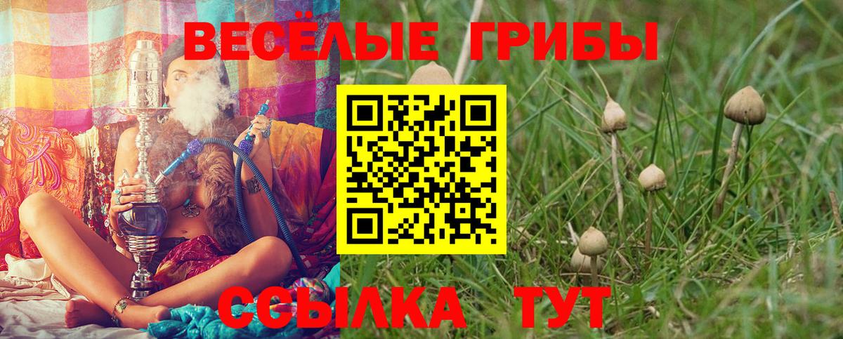 Псилоцибиновые грибы ЛСД  Псилоцибиновые грибы Cubensis  Новошахтинск  Вход с VPN 